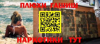 шишки Дубна