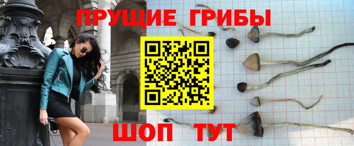 Псилоцибиновые грибы Psilocybine cubensis  Псилоцибиновые грибы мицелий  Вход с VPN  Малоярославец 